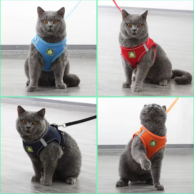 Reflective Puppy Cat Harness Vest with Walking Lead Leash Adjustable Kitten Collar Polyester Mesh Harness for Small Medium Dogs