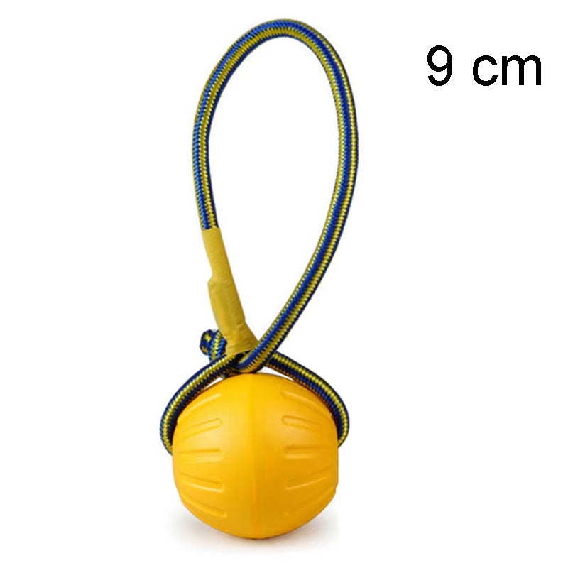 Pet Flying Discs Training Ring Puller Dog Toys for Big Large Dogs Bite Resistant Chew Ball Toy Floating Puppy Interactive Supply