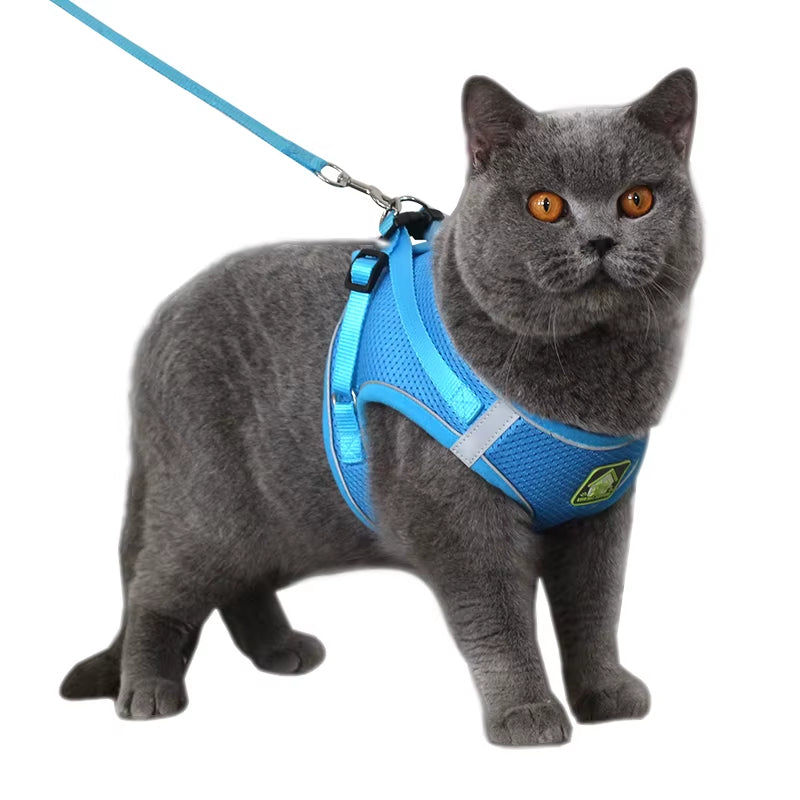 Reflective Puppy Cat Harness Vest with Walking Lead Leash Adjustable Kitten Collar Polyester Mesh Harness for Small Medium Dogs