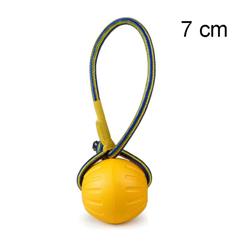 Pet Flying Discs Training Ring Puller Dog Toys for Big Large Dogs Bite Resistant Chew Ball Toy Floating Puppy Interactive Supply